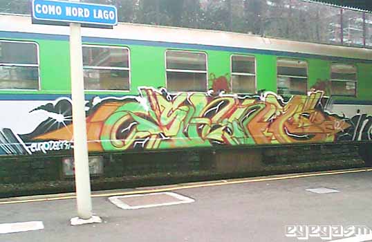 senz01.jpg
