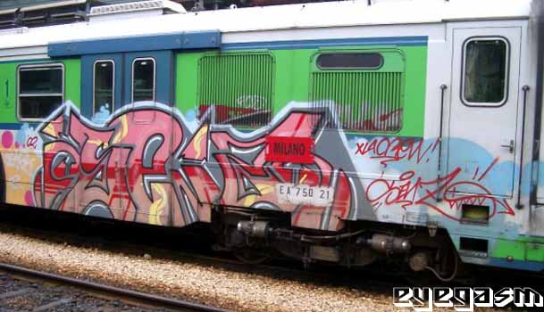 senz03.jpg