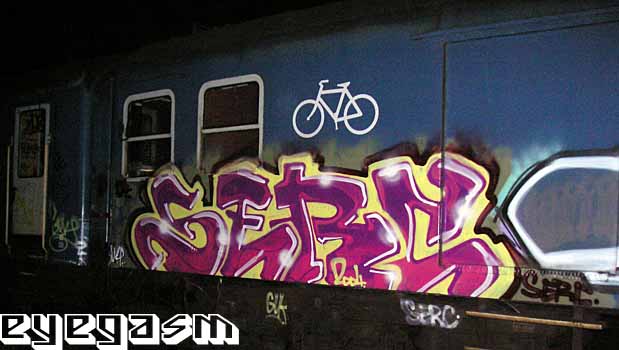 serc03.jpg