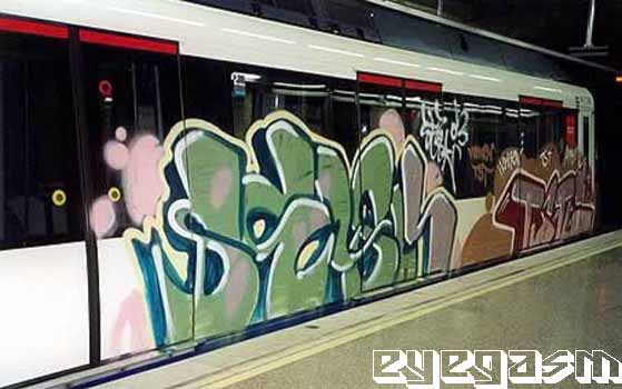 seyk-tste01.jpg