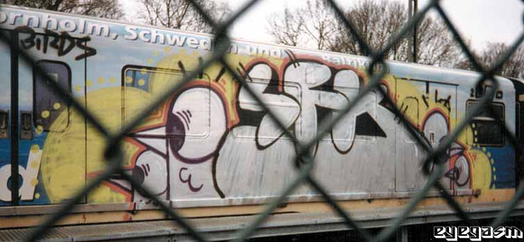 sfk01.jpg
