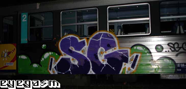 sg001.jpg