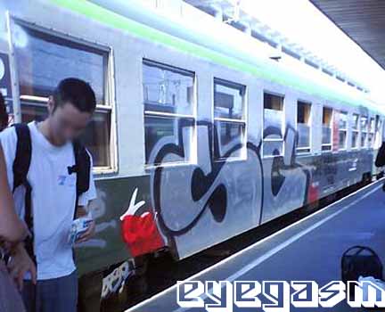 sg002.jpg