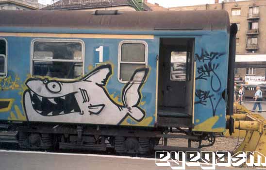 sha001.jpg