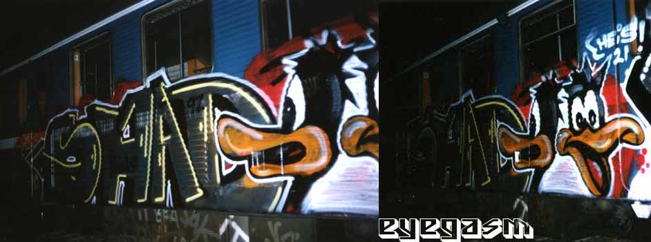 shad02.jpg