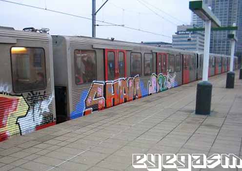 sham-wust01.jpg