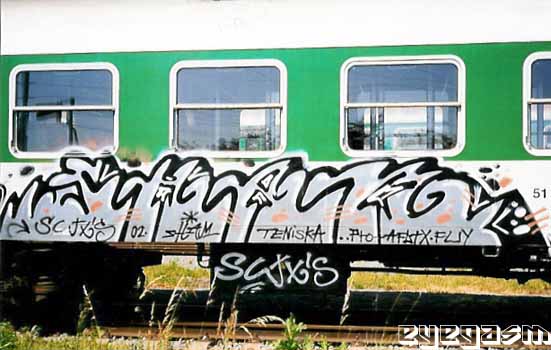 sham02.jpg