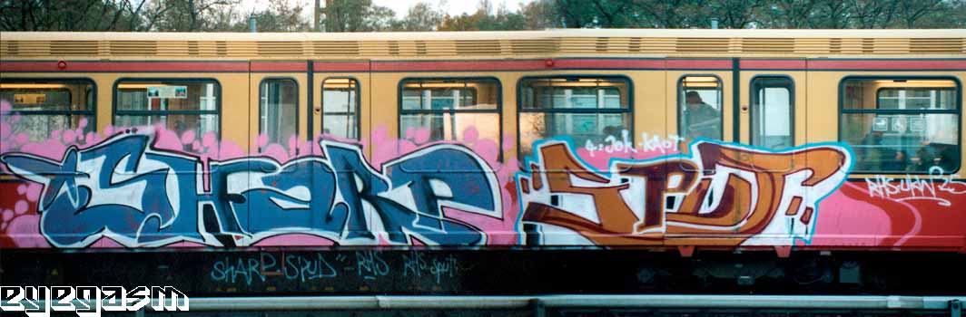 sharp-sput01.jpg