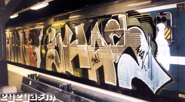 shas01.jpg