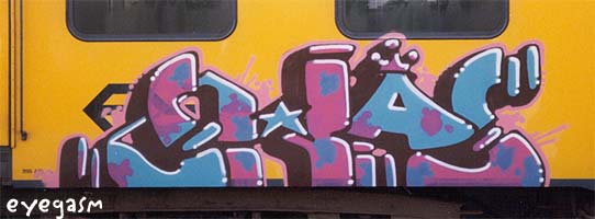shas1.jpg