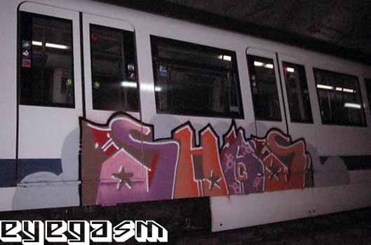 shas4.jpg
