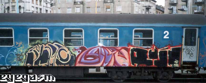 sherc-sock-euth01.jpg
