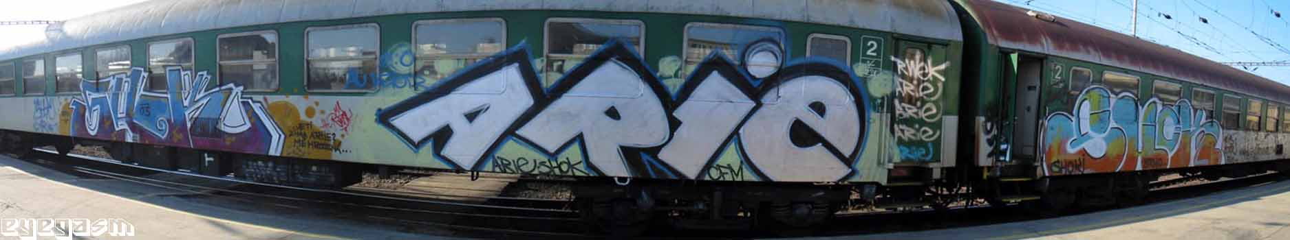 shok-arie-shok01.jpg