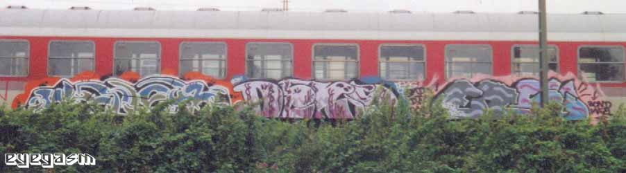 shok-deks-ensi01.jpg