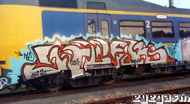 shok05.jpg