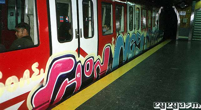 shon-nes01.jpg