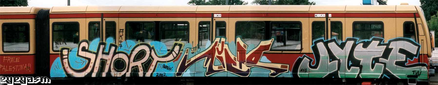short-micro-lyte01.jpg