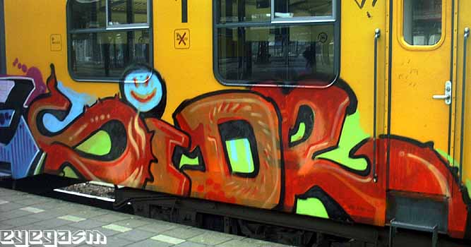 sidr01.jpg