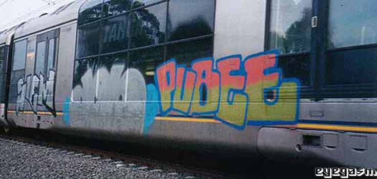 siem-dos-pube01.jpg