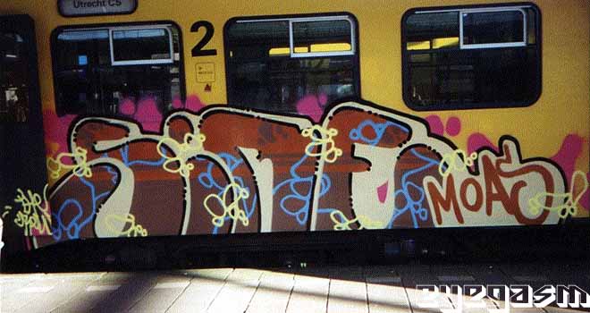 sire06.jpg
