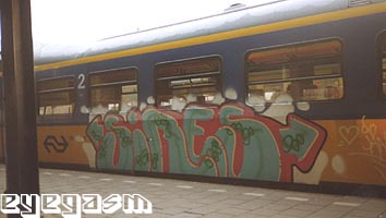 sires07.jpg