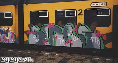 sires08.jpg