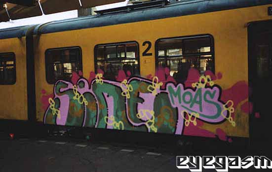 sires09.jpg