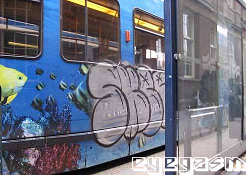 skee01.jpg