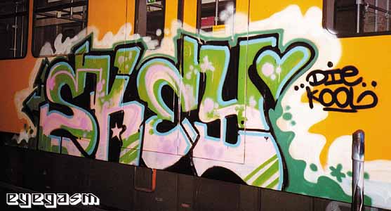 skey01.jpg