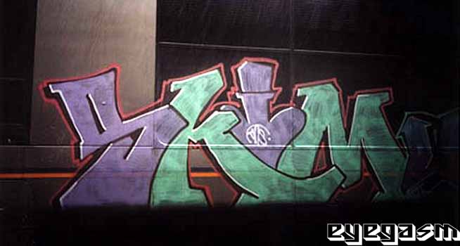 skim01.jpg