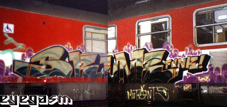 skunk-funk01.jpg