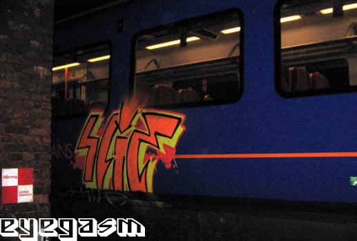slie01.jpg
