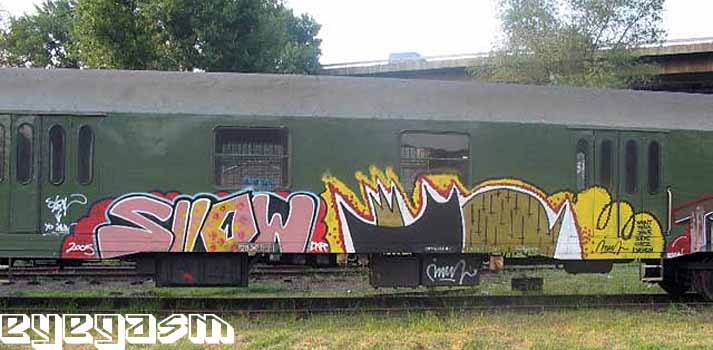 sllow-imun01.jpg