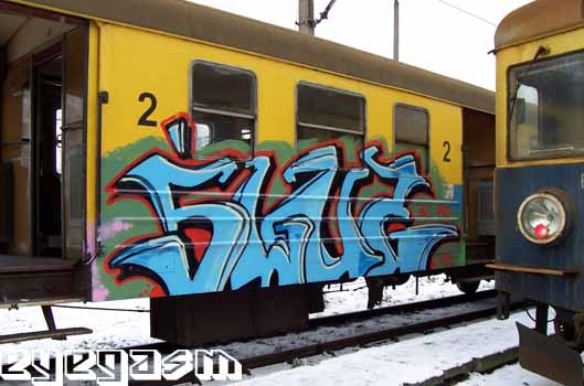 sluz01.jpg