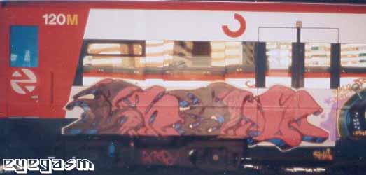 snat01.jpg