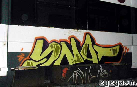 snat18.jpg