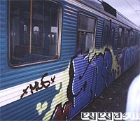 snr03.jpg