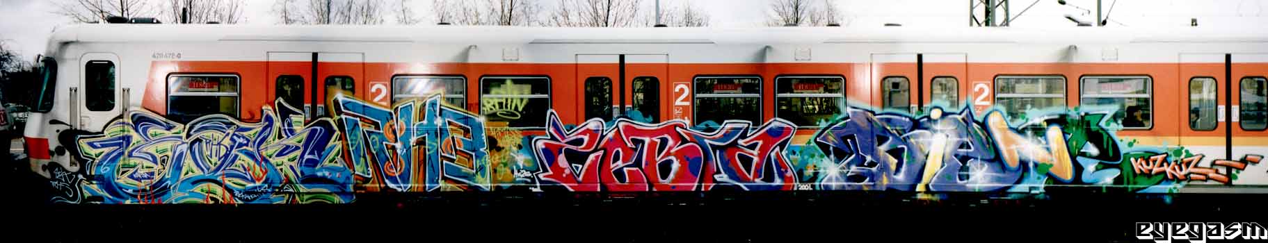 sok-rhb-zebra-biene01.jpg