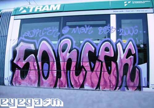 sorcek05.jpg