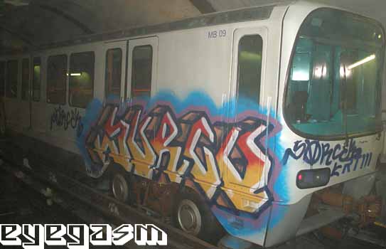 sorco01.jpg
