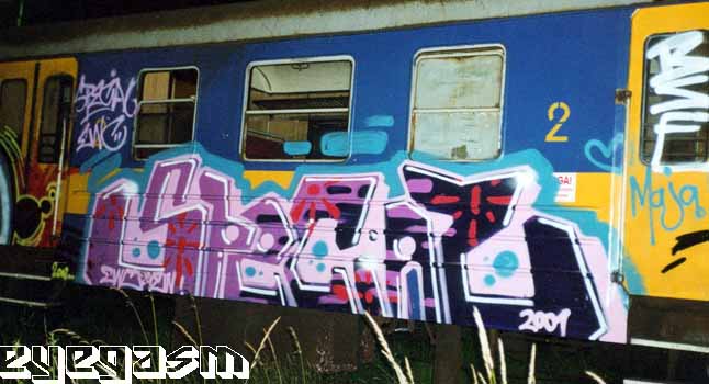 special02.jpg
