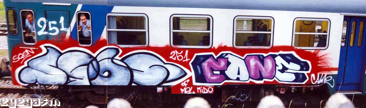 sqon-cane01.jpg
