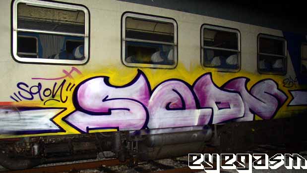 sqon08.jpg