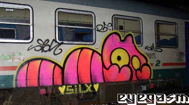 sqon12.jpg