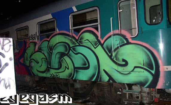 sqon13.jpg
