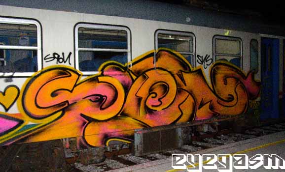 sqon14.jpg