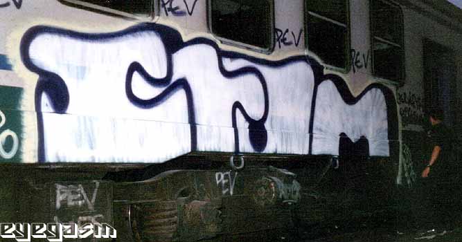 stam04.jpg