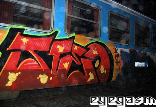steo01.jpg