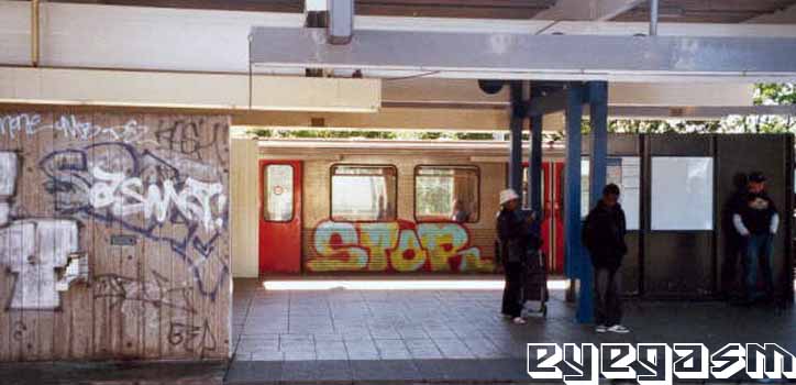 stor01.jpg
