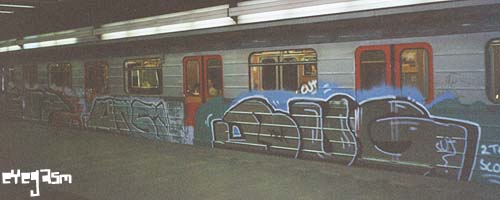 stp-ansi-bug01.jpg